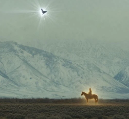 solanasavvy1's tweet photo. that not a bomber jet, its a bird???
send normal picture https://t.co/RlqONl2meB