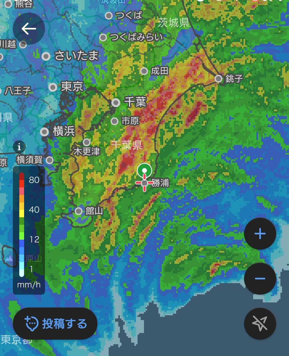 otama_labo's tweet photo. 勝浦は比較的穏やか
大きめの台風くらい
暴風じゃないし
庭が最高レベルの水没してるだけ https://t.co/tWxjFRbtof