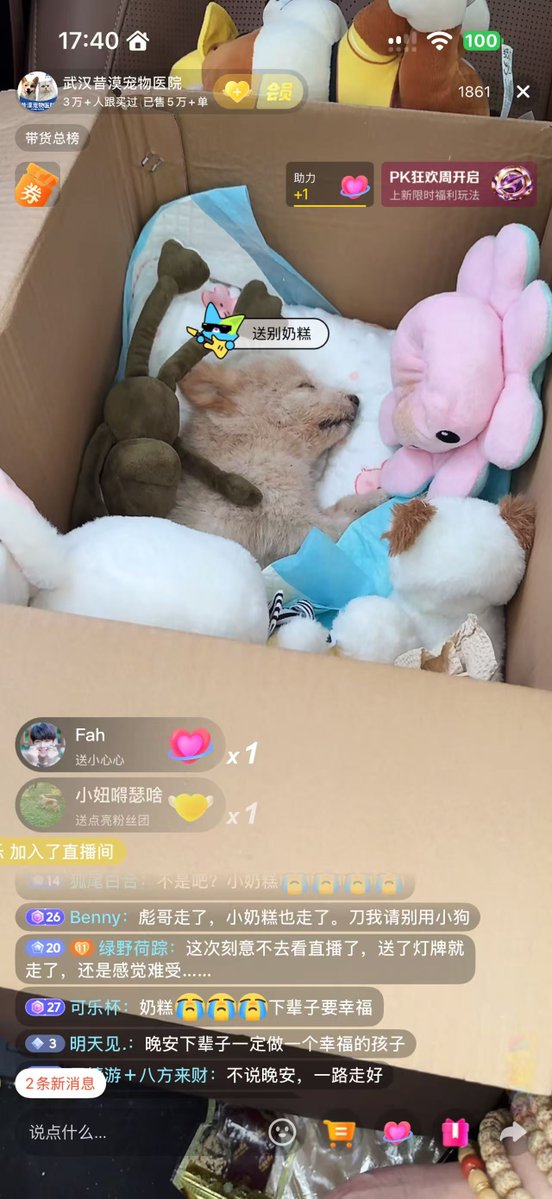 Wqa3O's tweet photo. 彪哥走了，小奶糕也走了。刀我请别用小狗
直播间不少人
https://t.co/u3A6WWGiQK https://t.co/OHTgtU8s5G