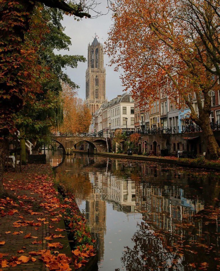 lunecrumbss's tweet photo. autumn season in London 🍂🥮 https://t.co/orf8PdJJA1