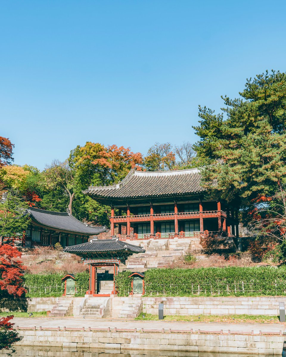 Kor_Visitkorea's tweet photo. 🛎️ 추석 연휴 동안 4대궁 다 무료 개방해요! https://t.co/6kcKLr4OKd