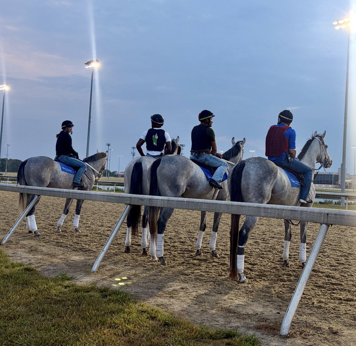 stoolpresidente's tweet photo. Mornings at #GoGoGreys Stable https://t.co/qCdrfELe2C
