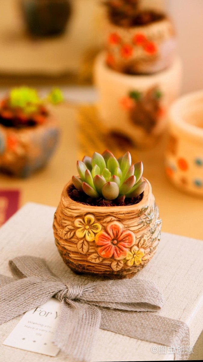 RomeliaFerbdsn's tweet photo. Just transformed an old mason jar into a cute succulent planter with some paint u0026 pebbles—thrift flips hit different!  #DIYCraft https://t.co/2hESCS6wvH