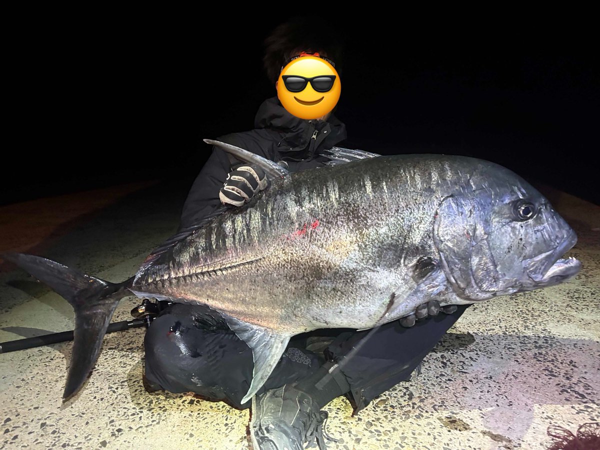 lotsway_onefish's tweet photo. 最近なんだか好調なGT。夏シーズンにも複数の会員が��ャッチに成功しました！
灼熱の南方で巨魚を狙う、痺れますね...⚡️⚡️ https://t.co/gP80LY3BIW