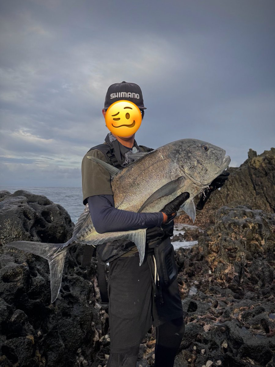 lotsway_onefish's tweet photo. 最近なんだか好調なGT。夏シーズンにも複数の会員が��ャッチに成功しました！
灼熱の南方で巨魚を狙う、痺れますね...⚡️⚡️ https://t.co/gP80LY3BIW