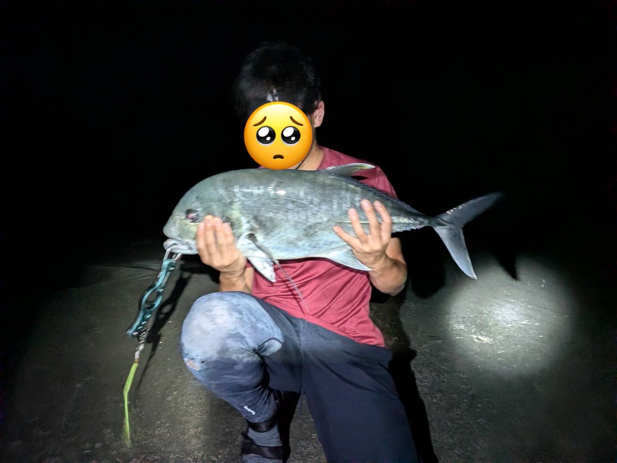 lotsway_onefish's tweet photo. 最近なんだか好調なGT。夏シーズンにも複数の会員が��ャッチに成功しました！
灼熱の南方で巨魚を狙う、痺れますね...⚡️⚡️ https://t.co/gP80LY3BIW