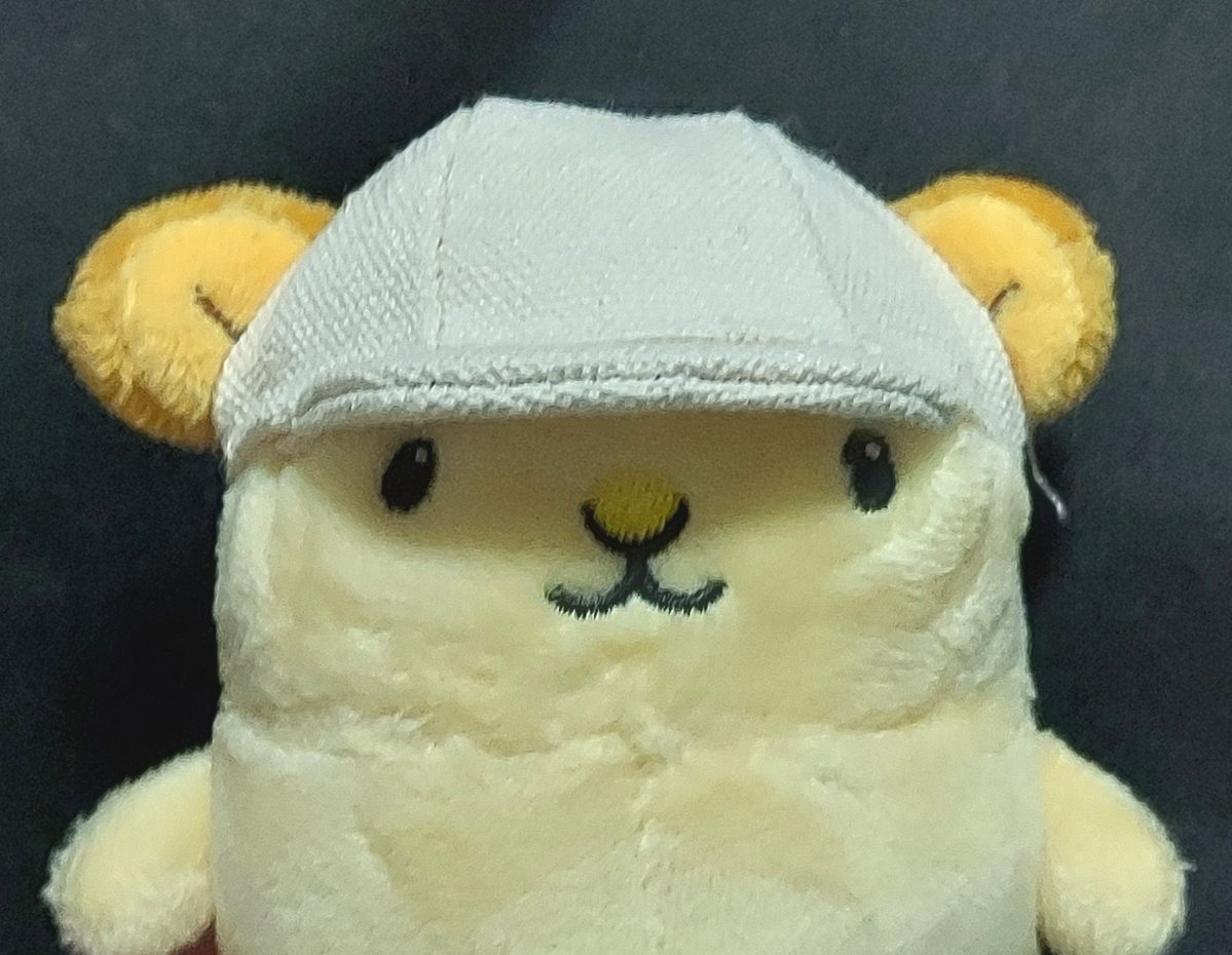 ayk_cc55's tweet photo. セリアの１６cmの帽子はキュンちゃんに合うと聞いて早速購入したのだが初期に発売されてる値上がり前のキュンちゃんには合わないらしい。サイズも綿の具合も違うもんねぇ。今販売してるのにはちょうど良いです。
初期のタイプ再版してくれないかなぁ。顔が大きくてかわいいんだよなぁ。 https://t.co/hbZjyftjG0