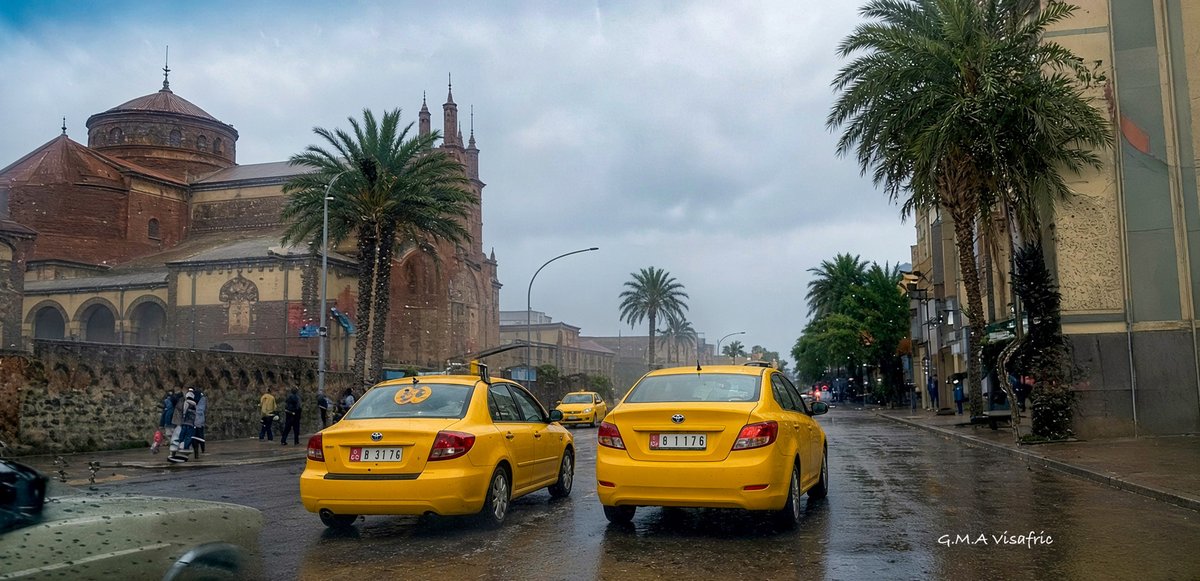 GhideonMusa's tweet photo. Asmara gets good rain today 
ኣብ ኣስመራ ማይ ይወቅዕ ኣሎ 🌧️ ☂️ 🇪🇷 https://t.co/rcNYRWPyes
