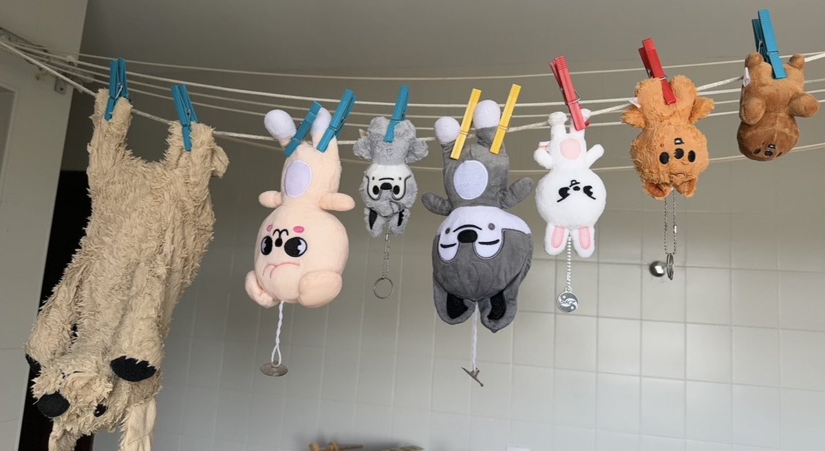 hannnoyed's tweet photo. aqui em casa ninguém recebe tratamento especial, mas dá claramente pra ver quem tá se divertindo com a situação https://t.co/qCaEDgNuGt
