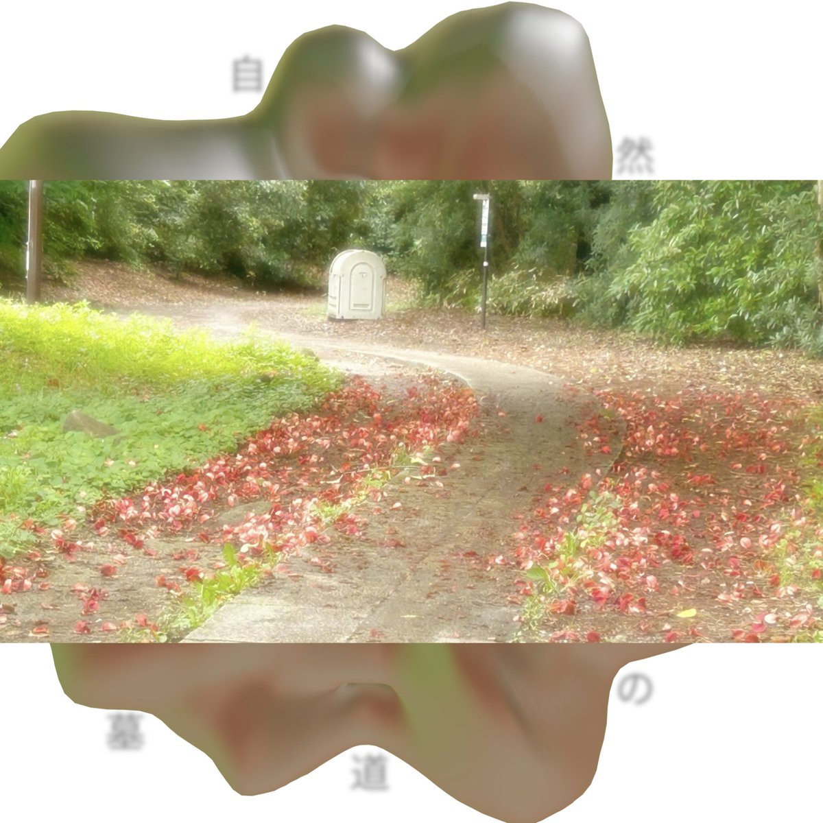 ZF_fmLefty's tweet photo. 自然の墓道 https://t.co/ISltmidQem