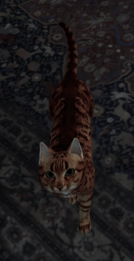 clockwizardgame's tweet photo. What is your favorite pet and why? https://t.co/3GVLFAaaS9