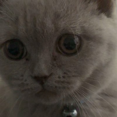 SwagSillyy's tweet photo. #NewProfilePic https://t.co/DbpbDPGfzv
