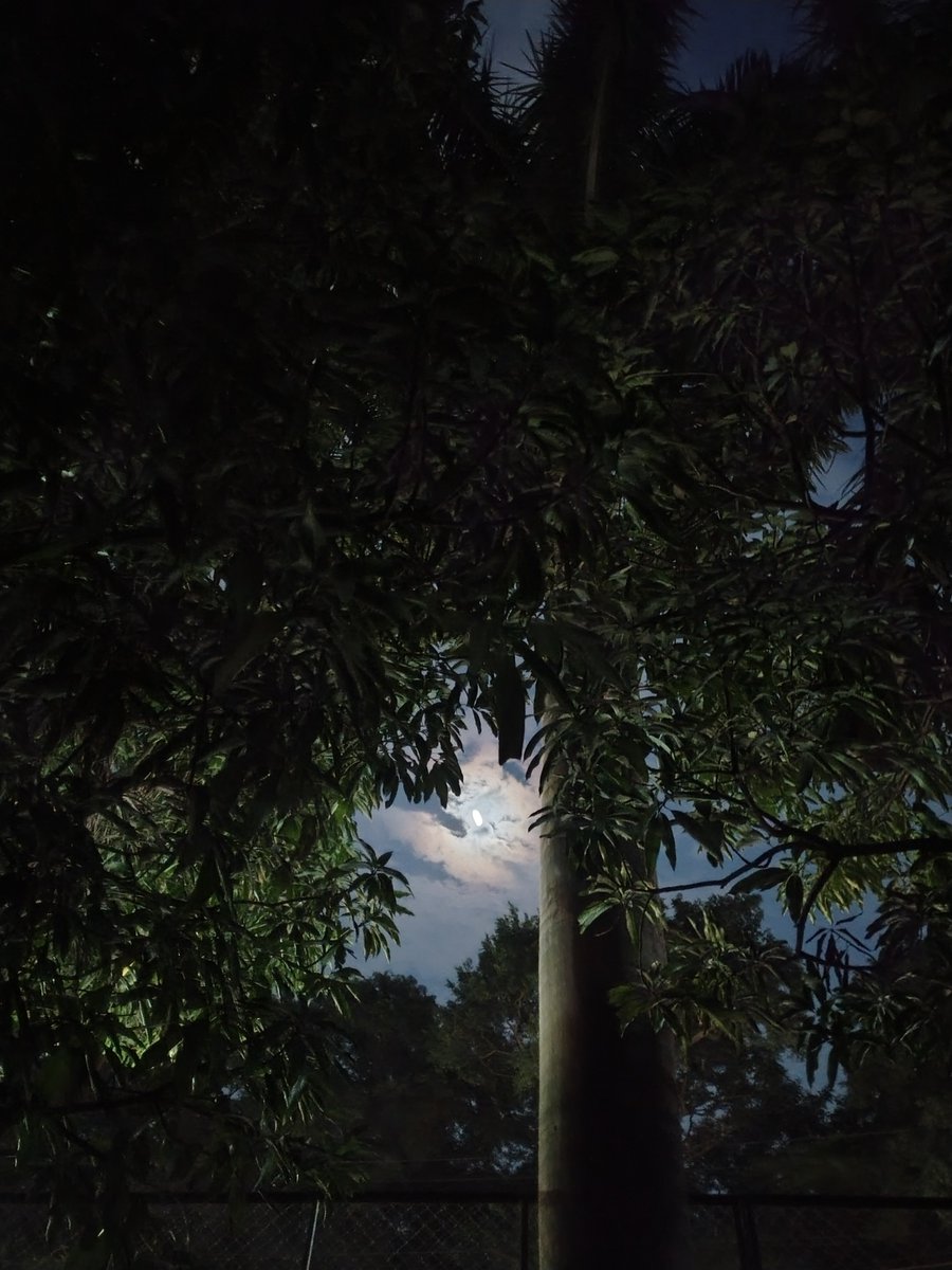 Kworldnature's tweet photo. https://t.co/HGwKQzvaIJ