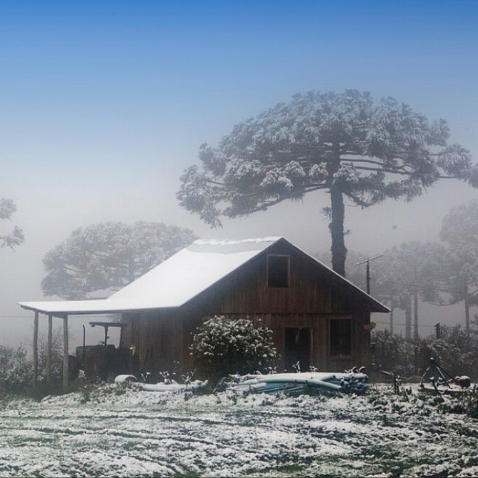 choquei's tweet photo. 🚨BRASIL: Hoje é o último dia do inverno. Amanhã começa oficialmente a primavera. https://t.co/i0SNaM0wRJ