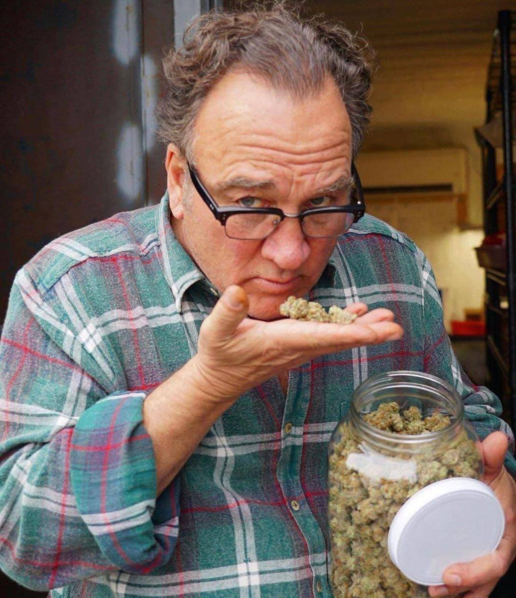 jamesbelushi_'s tweet photo. Who thinks Marijuana should be just as socially acceptable as a beer or glass of wine? 🍷 https://t.co/HcCGnBAo0t