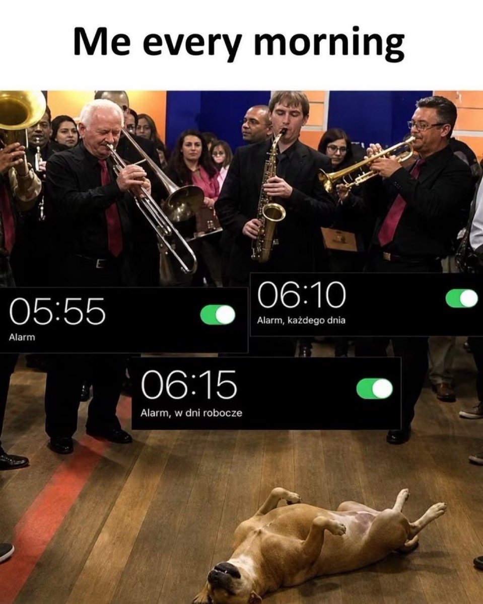 MemeLoot's tweet photo. https://t.co/2dQlVa4ILF