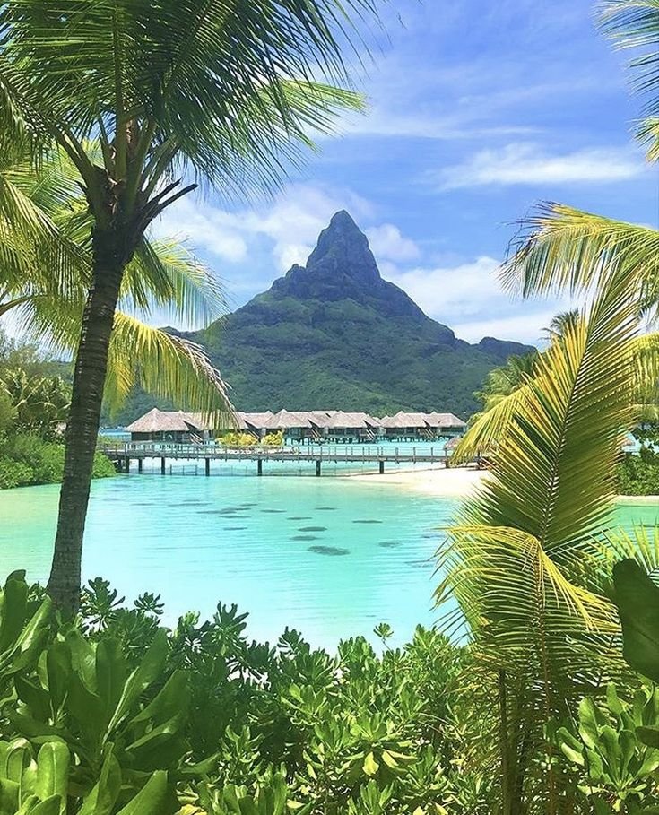 TravelBucketX's tweet photo. Bora Bora, French Polynesia 🇵🇫 https://t.co/gKUlRFrSwJ