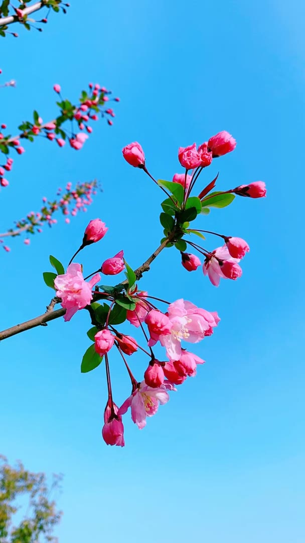 bunnc038468's tweet photo. Every setback is a setup for a comeback.
长沙q芙蓉a天心z岳麓w开福s雨花x望城e长沙县 #长沙  🦋🧛个人联系→@ytup55678 https://t.co/c0vmh2bc5t