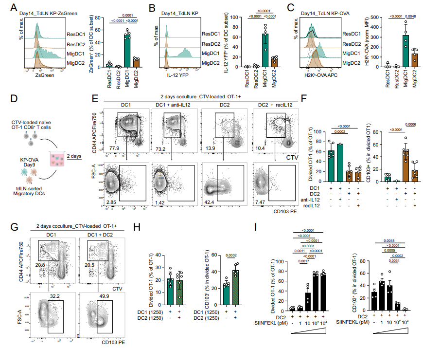 LabWaggoner's tweet photo. Distinct migratory dendritic cell subsets cooperate to prime tissue-resident memory-like CD8⁺ T cells in mouse tumors @NatureComms @GuermonprezLab @institutpasteur 🇫🇷a
https://t.co/1n6DP2Ji6K https://t.co/74yNJKubid