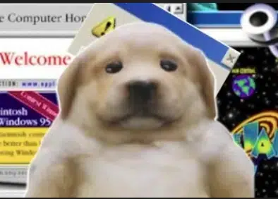 FOLKARNOLD's tweet photo. TEK coins are everywhere...

We forgot why we are here.

We are here to trade funny dogs and cats that go to 200m MC with community behind.

We need something simple.

too early could've held https://t.co/ocFuaRy7Fe