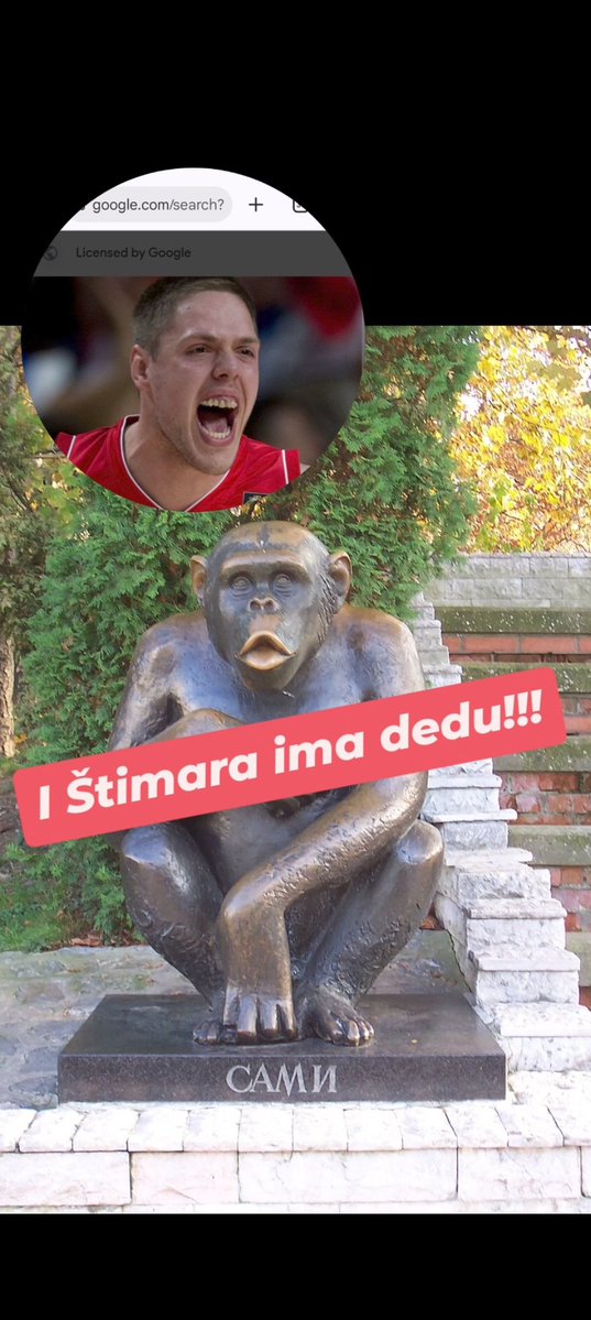 RAgatonovic's tweet photo. @firgaponovojase https://t.co/aikQ89XgwA