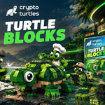 Photo by Crypto Turtles (@CryptoTurtles)