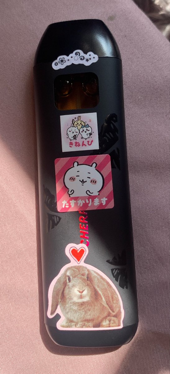 siamesedoe's tweet photo. @Bedrotpup my fav cherrycola !!! https://t.co/XDMIUiMPsn