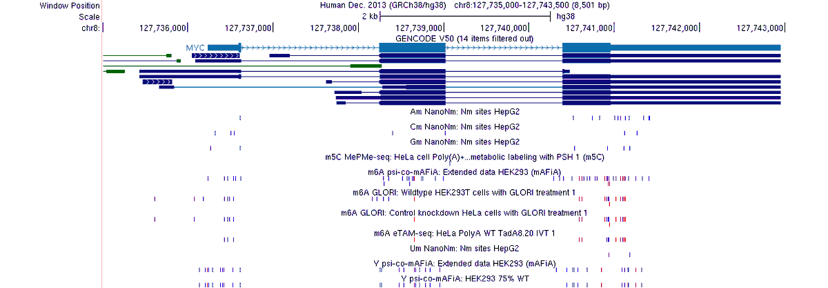 GenomeBrowser's tweet photo. New public hub: Sci-ModoM RNA modification sites. 7.9M m6A, pseudouridine, m5C and 2'-O-methylation sites on hg38 and mm39, with coverage and percent modified. Thanks to @ItsRMaP1 and the Dieterich Lab.

Explore hub: https://t.co/s1EN5q8fV7
More hubs: https://t.co/bnAvWX6a6F https://t.co/1z7QnBtLvU