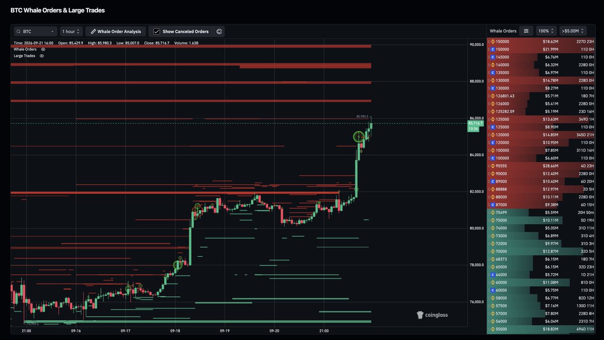 cryptorover tweet picture