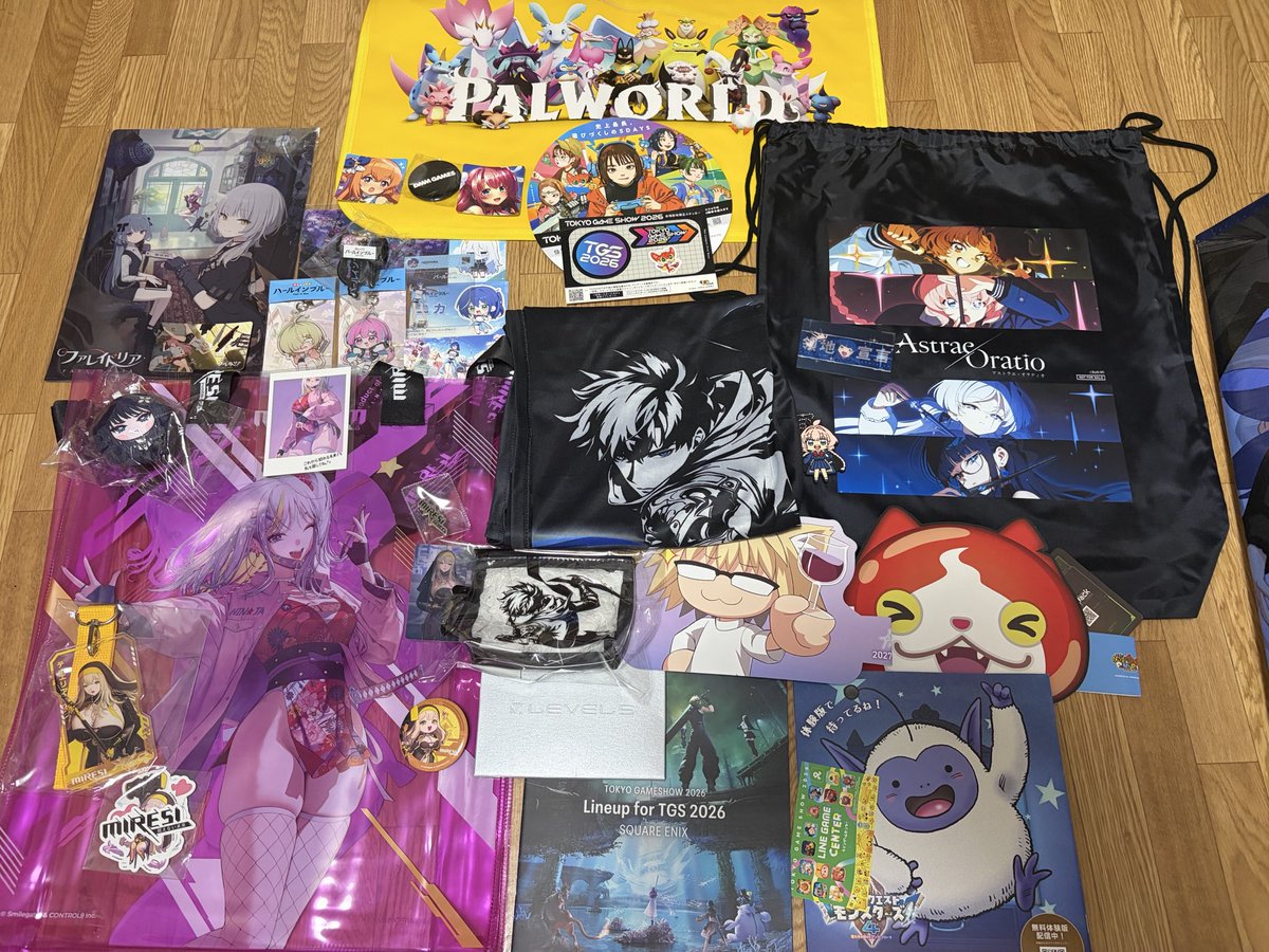 dora21322's tweet photo. TGSの戦利品
時間に余裕がなかったから人気があるモンハンやパルワとかの日系企業はパスしたけど全体の雰囲気は堪能したし
計画立てた欲しいと思ったやつは取れたからよかった！ https://t.co/DTxa2YQp19