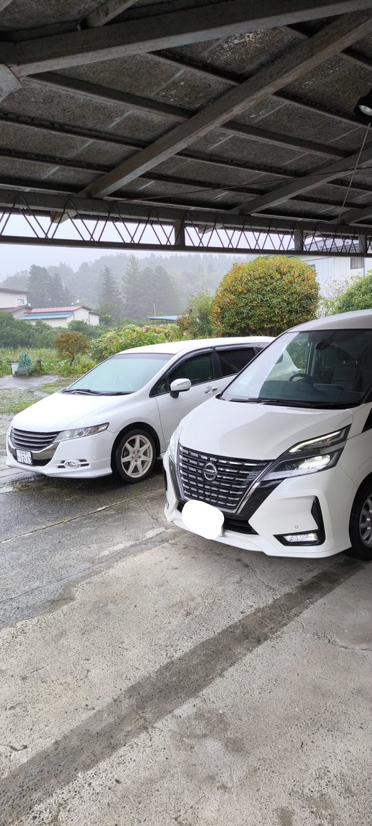 freedomishappy's tweet photo. 近々、次はこの子を大切に引き継ぐことに🥹
オデ君は1年しか乗ってないなぁ… https://t.co/yDEAc0ALu8