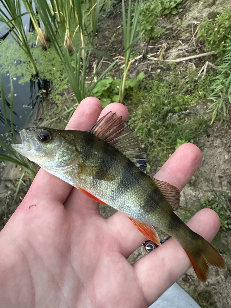 VVuya_live's tweet photo. Off-stream activities.

Sometimes you just need to get away from the screens and enjoy views like this.

Beautiful nature, fishing and some peace &amp; quiet.

Could stay here all day.

Follow me on kick: https://t.co/2RMndJ2DdH

#kick #stream #fishing #stake https://t.co/HeOcDt13hS