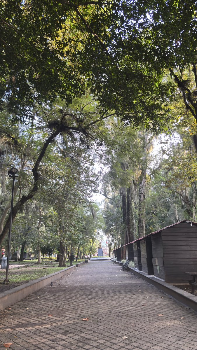 ArtiflxTlax's tweet photo. Buen lunes e inicio de semana para todos #runners Hoy #5k ๐๐ปโโ๏ธโ๏ธ
#runningday
#SonrieEstasEnOrizaba
#PuebloMagico https://t.co/TmKdDDUrkk