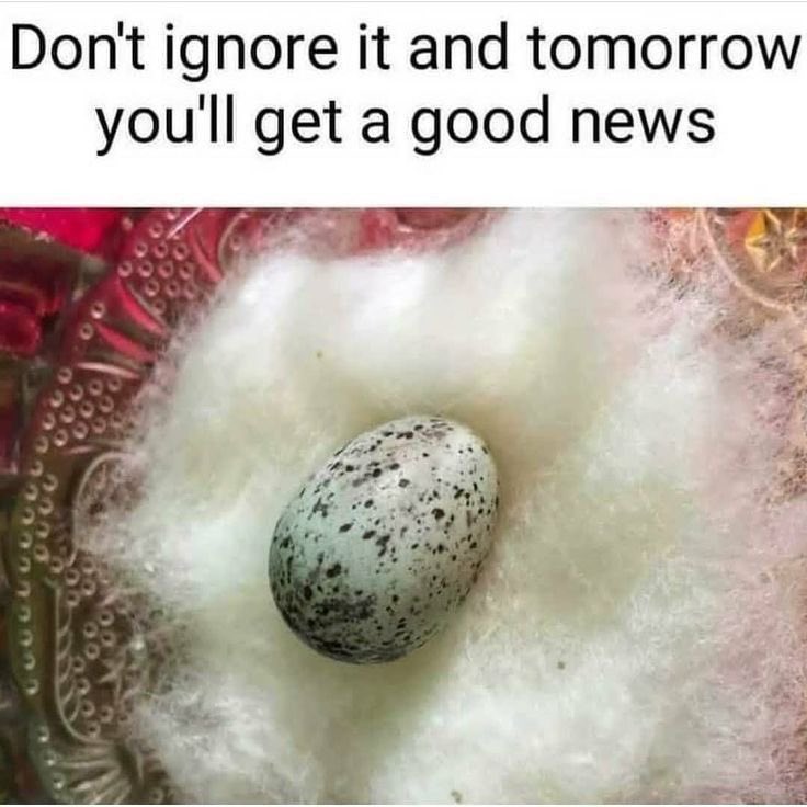 DailyPurposeGod's tweet photo. https://t.co/cvNyJ09KQr