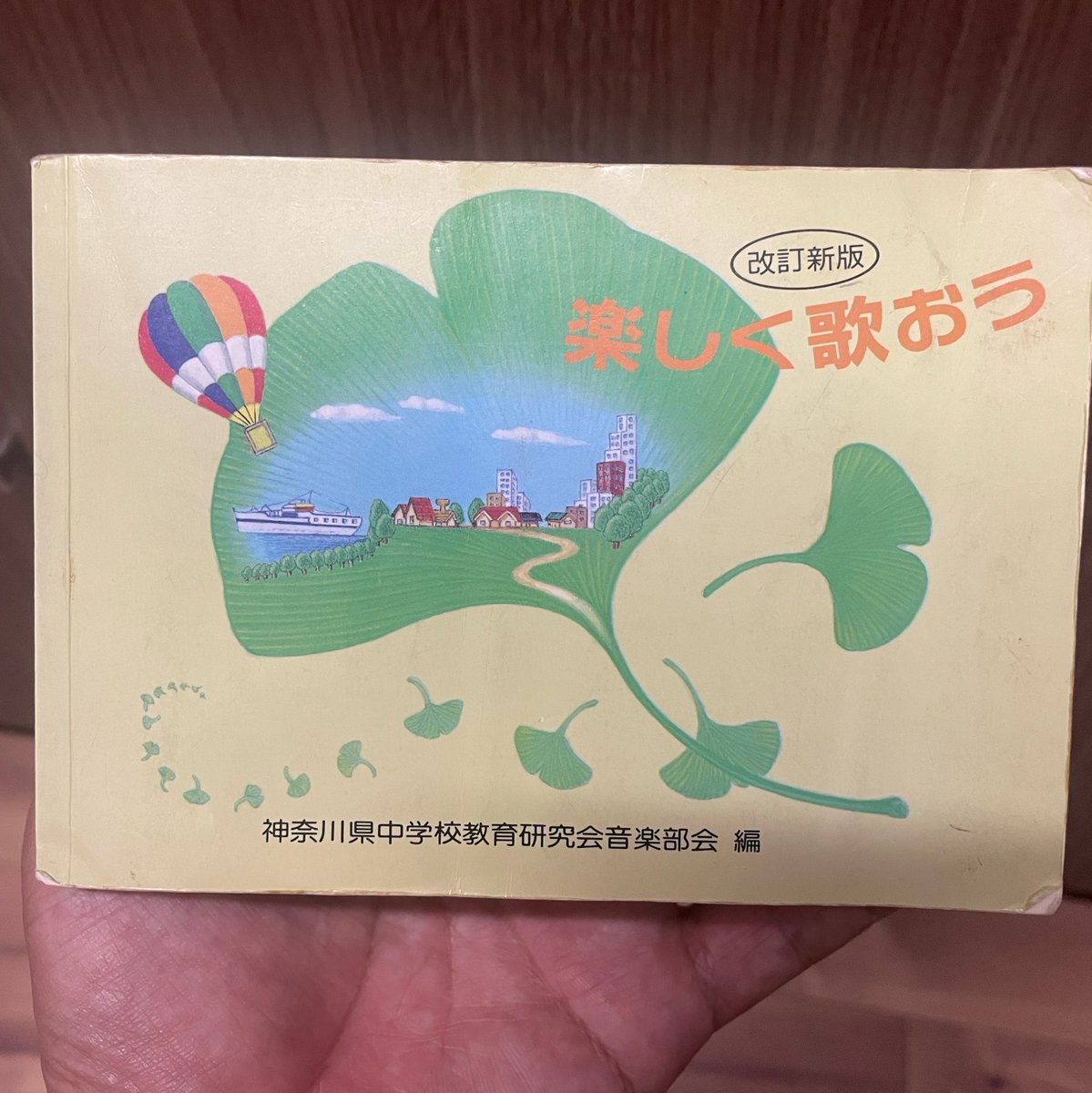 saichuta tweet picture