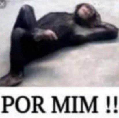 Normose_'s tweet photo. Crime eleitoral por todo canto, casa de aposta inflando eleição todo dia, candidato mentindo com IA, patrocínio ilegal comendo 

E o TSE do Kassio Nunes: https://t.co/aADMoK8fWH