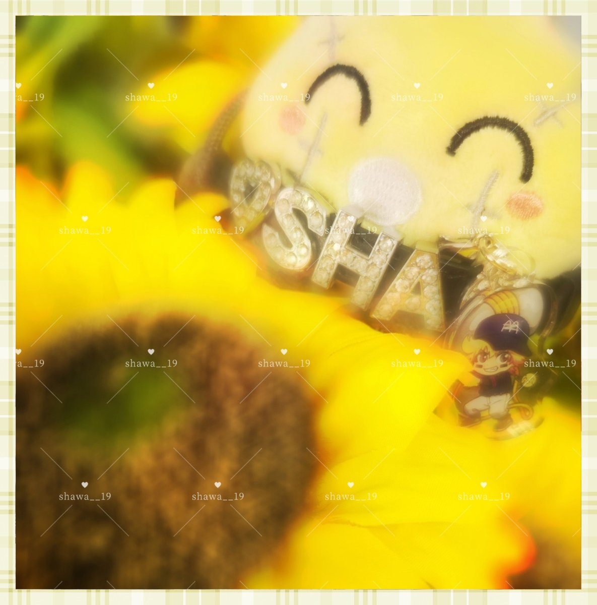 shawa__19's tweet photo. シャオロンさんお誕生日おめでとうございます‼️💛
これから先も、貴方が歩いていく道全てに、沢山の幸せが溢れていますように。🎗ずっと大好きです
 #mzyb_FA  #シャオロン  #シャオロン生誕祭2026 https://t.co/npNyF57xPw