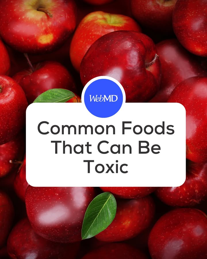 WebMD's tweet photo. Apple seeds also have cyanide, so throwing back a handful as a snack isn’t smart. Luckily, apple seeds have a protective coating that keeps the cyanide from entering your system if you accidentally eat them. But it’s good to be cautious. Even in small doses, cyanide can cause rapid breathing, seizures, and possibly death. Could a common food poison you? https://t.co/zAGTsl6CVf