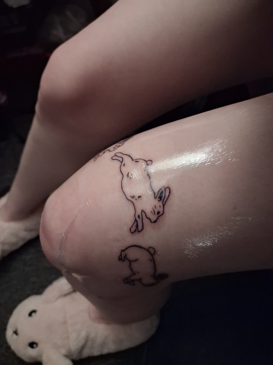 kittyquantum3's tweet photo. Bunnies 🐰 https://t.co/KvYQELmYpe