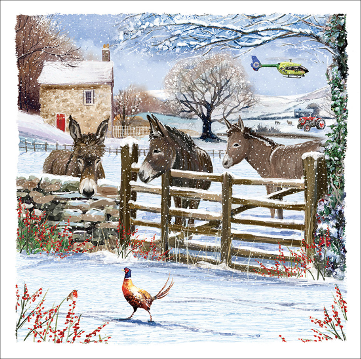 ScotAirAmb's tweet photo. With just 95 days until Christmas, you'll be glad to hear that our brand new Christmas cards are now available in our online shop - and there are no less than 8 beautiful new designs to choose from! 🤩

See them all here: https://t.co/BGvfqmwgaV https://t.co/FvRDEM7vNF
