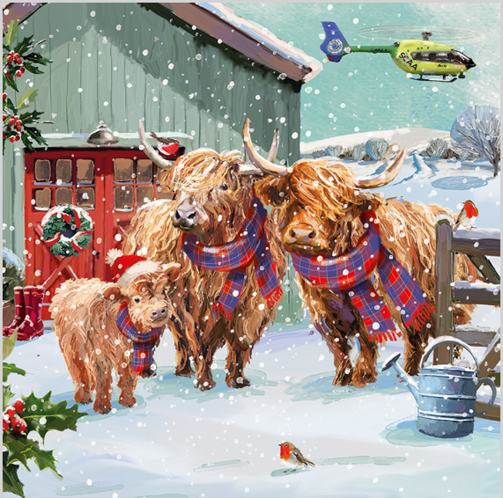 ScotAirAmb's tweet photo. With just 95 days until Christmas, you'll be glad to hear that our brand new Christmas cards are now available in our online shop - and there are no less than 8 beautiful new designs to choose from! 🤩

See them all here: https://t.co/BGvfqmwgaV https://t.co/FvRDEM7vNF