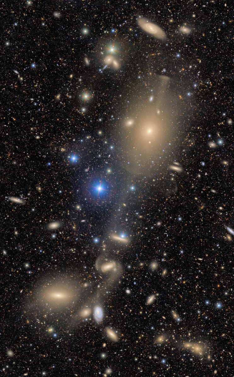 NOIRLabAstro's tweet photo. Somewhere between “I’ll just take a quick look” and “wait… WHAT am I looking at?”🤯 lies this cosmic treasure chest.

The large galaxy at the top is NGC 4261. Down in the bottom-left is NGC 4281, a lenticular galaxy.

Credit: NSF-DOE @VRubinObs/NOIRLab/SLAC/NSF/DOE/AURA https://t.co/ZV3lcc5tI3