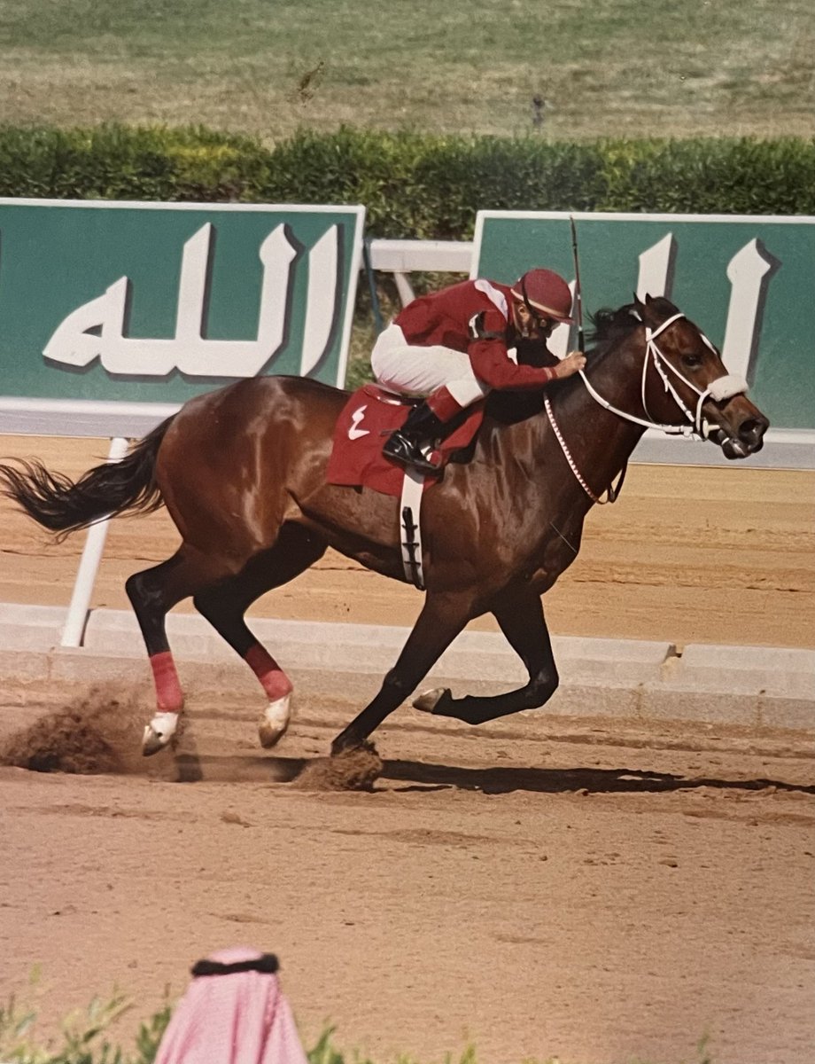 ali_alsehaiman's tweet photo. 📸🏇صورة من ذاكرة #الفروسية_السعودية
•للأستاذ/
سعد بن مشرف بن مطلق القحطاني
المشرف الإداري على الإسطبل الأحمر
 وهو يتسلم🏆 كأس الرئاسة العامة لرعاية الشباب بعد فوز الجواد البطل سلمان
•تدريبات والده عميد المدربين الراحل مشرف بن مطلق رحمه الله
•قيادة الخيال راموس
في #ميدان_الملز https://t.co/devR42Hon2