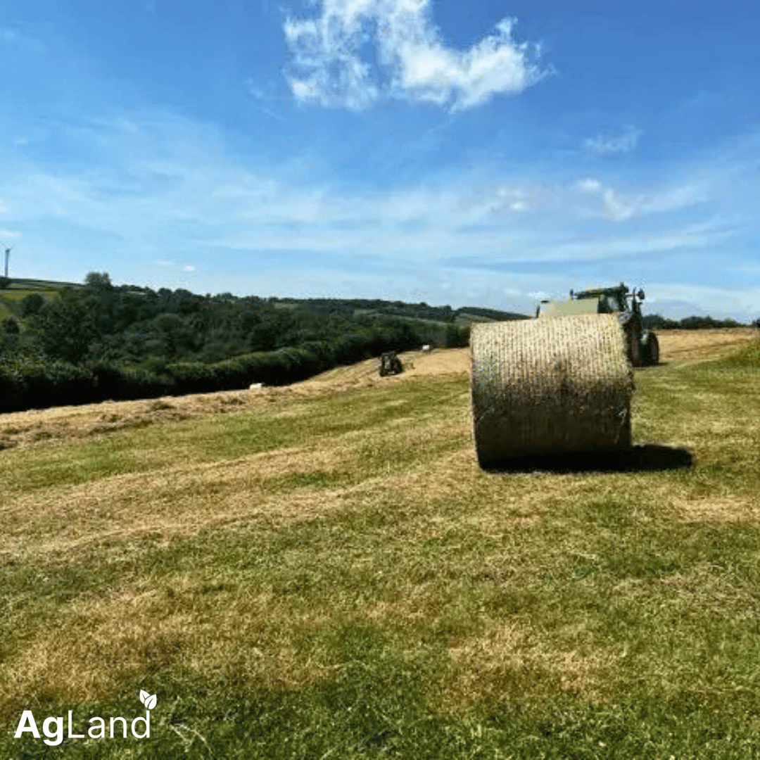 AgLandUK's tweet photo. NEW AGLAND SELLER LISTING 📢

A remarkable 18-acre dream property for equestrians and smallholders, with a range of character features in the family home, stables and outbuildings, quintessential country garden, and unspoiled views across the surrounding countryside. https://t.co/Ay8qPwH6xl