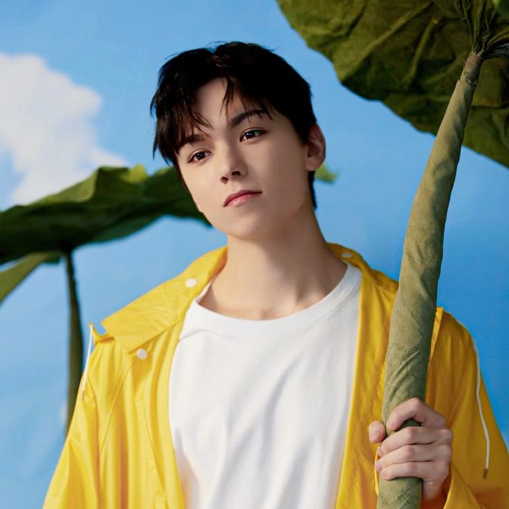 svtserving's tweet photo. 605 days until Vernon's return from military service. https://t.co/qWgxSErktd