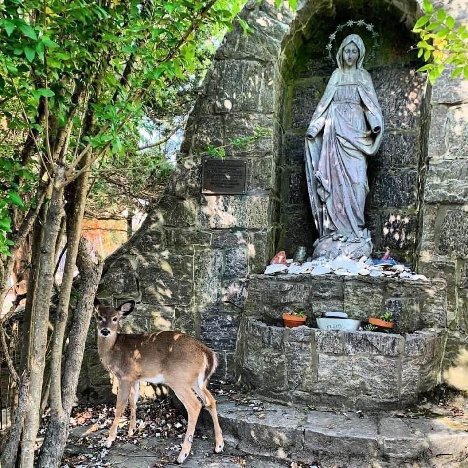 CathySchutte's tweet photo. #OTD the 1938 hurricane changed Fire Island and Long Island forever. This statue of Mary on Fire Island survived after floating in the storm surge. The missing hands on the statue remain so the memory will never be forgotten. π #1938Hurricane #FireIsland #weather https://t.co/SCFsoCeEuq