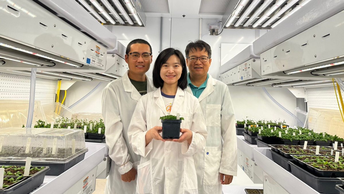 ratoshi67's tweet photo. [OFFICIAL ANNOUNCEMENT]

SCIENTISTS DISCOVERED A NEW TYPE OF $LEAF
APPARENTLY U SHOULD EAT IT EVERY DAY TO STAY HEALTHY
I HAVE BEEN CONSUMING THIS $LEAF FOR 72 HOURS
I FEEL EXTREMELY WELL
MY WIFE ASKS WHY I AM HAPPY

I TELL HER
BECAUSE OF THE $LEAF

🌱 https://t.co/glIikjwEo8
