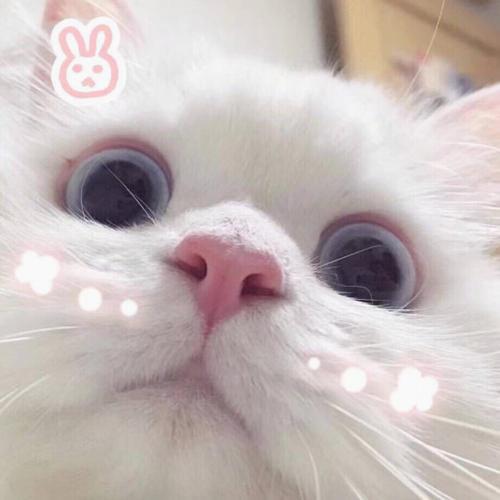 AbnMslmmm's tweet photo. 🪐 🌸 🌻 I need more hours in the day, please https://t.co/1UvUoIoSVS