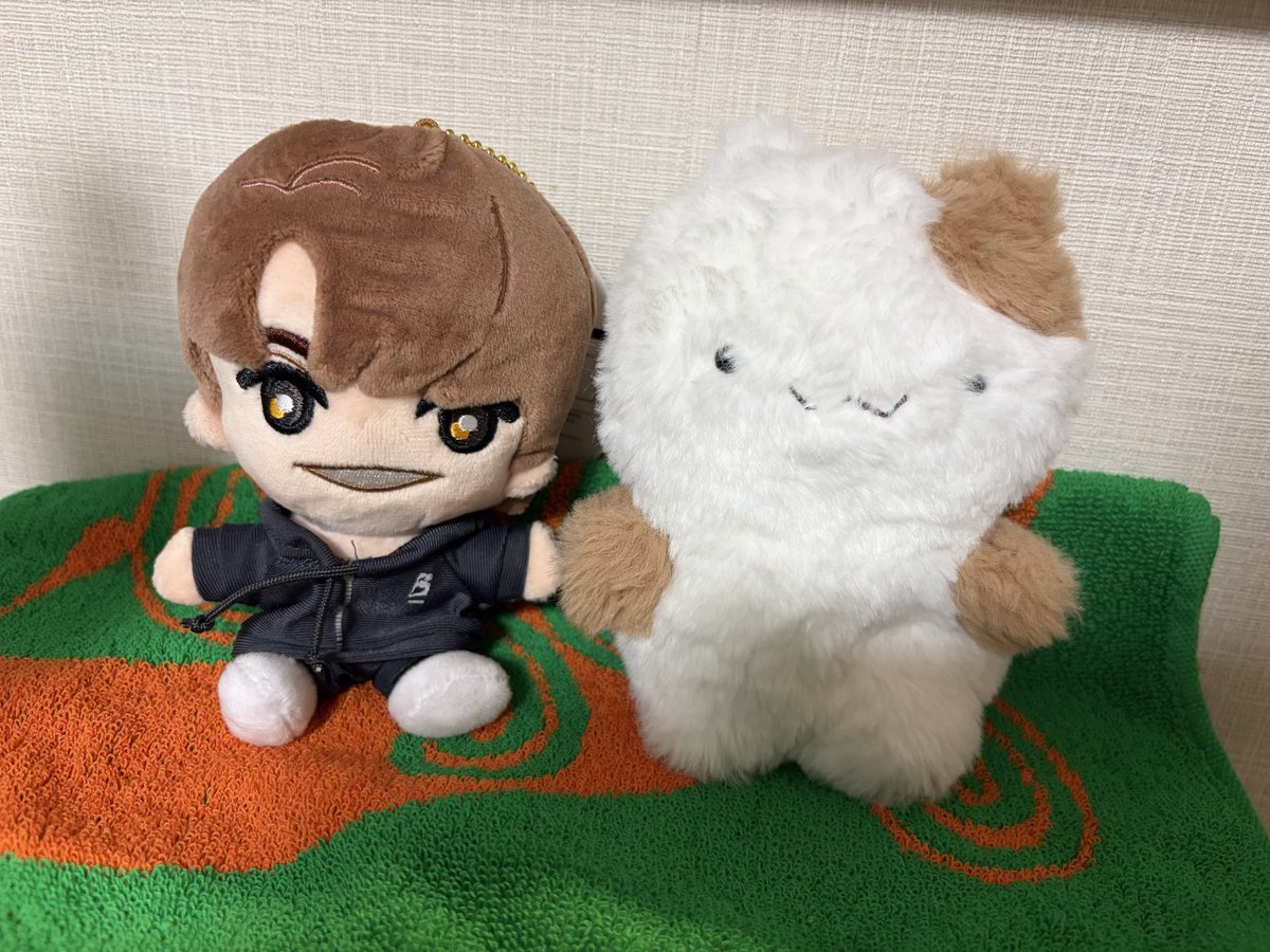 chad_8s's tweet photo. なんとまぁ同じ背丈…マフィンもストぬいサッカー部入りますか https://t.co/kfHY79lXvH