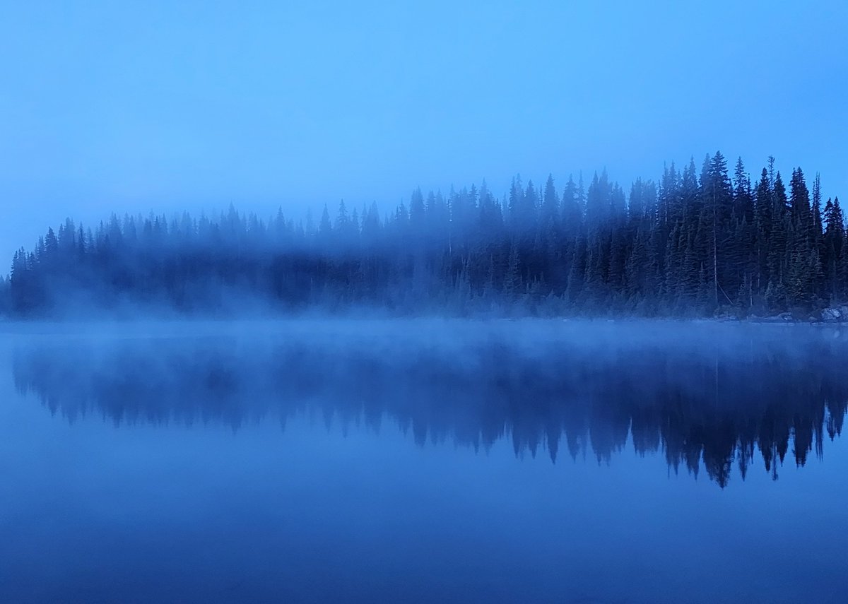 Dave37530840210's tweet photo. blue whispers https://t.co/g83SYuQotV